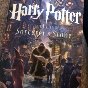 Harry Potter and the Sorcerer's Stone Chapter 1