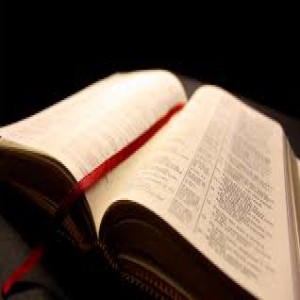 November 18, 2018 - "The Bible: 1 &amp; 2 Samuel" - Rev. Jay Minnick