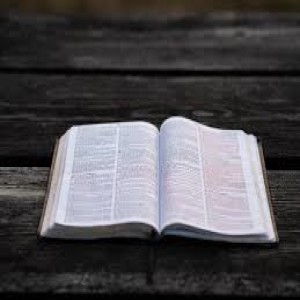 October 21, 2018 - "The Bible: Leviticus &amp; Numbers" - Rev. Jay Minnick