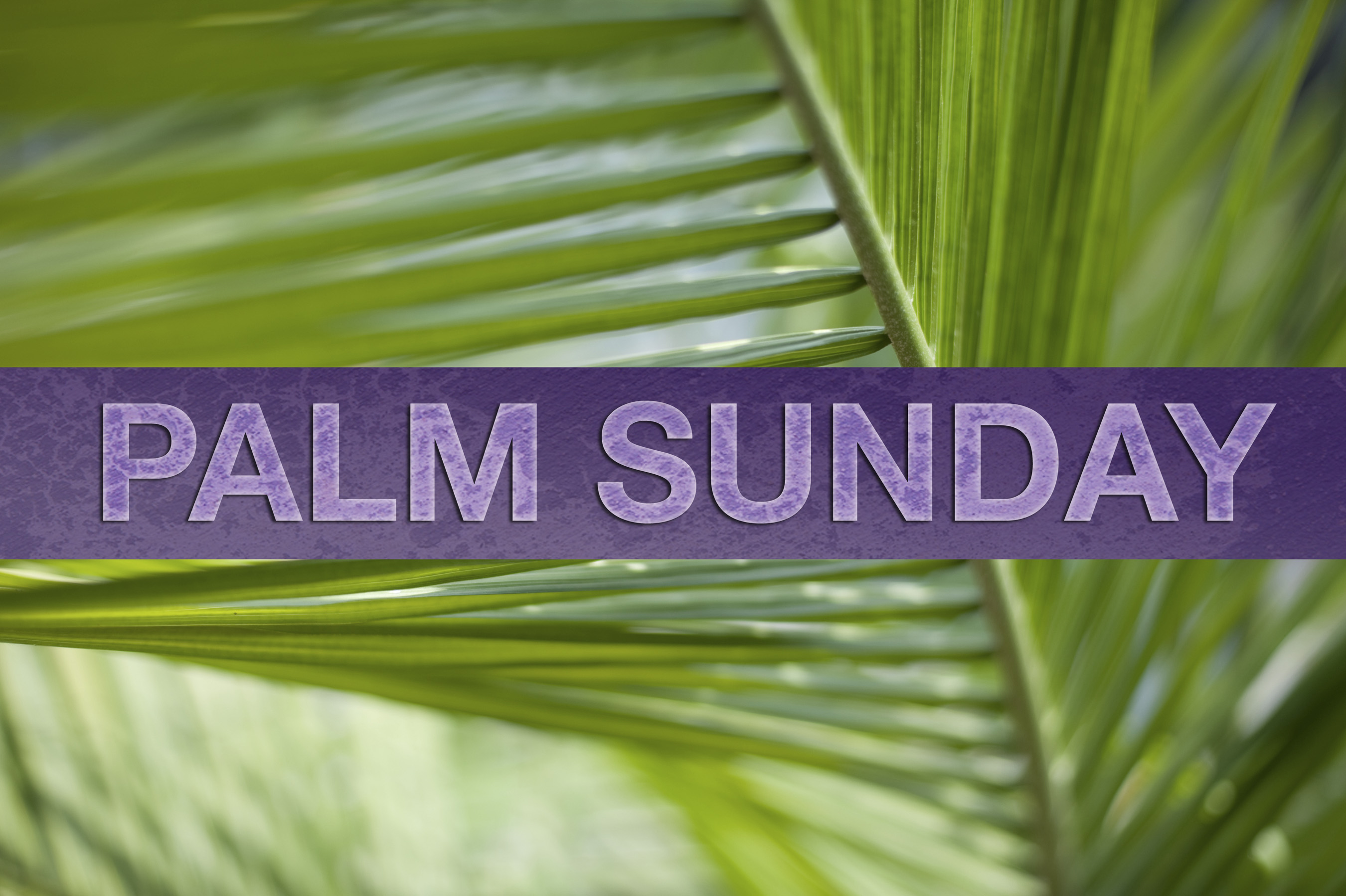 April 5, 2020 - Rev. Jay Minnick