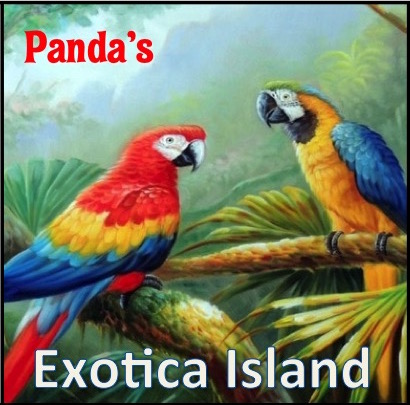 Panda’s Exotica Island