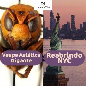 Numa NYCe Drops 12/05/2020 - Vespa Asiática Gigante e Reabrindo NYC