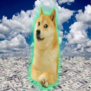 Gamestop, Doge, and Bitcoin oh my!