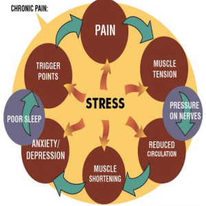 Natural Ways to Combat Stress, Pain and Inflammation Naturally (Hemp / PEA)