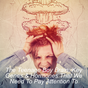 Understanding The Teenage Boy Brain, Key Genes and Hormonal Activity That Parents Need To Pay Attention To