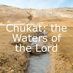 Chukat: the Waters of the Lord