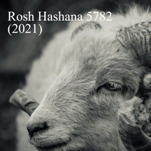 Rosh Hashana 5782 (2021)