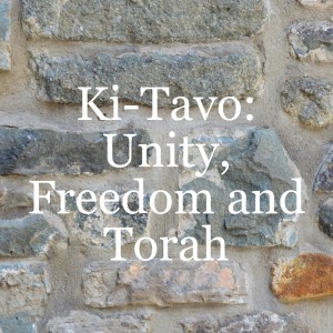 Unity, freedom and Torah