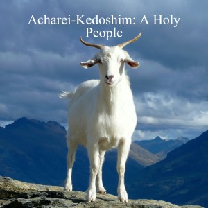 Acharei-Kedoshim: A Holy People