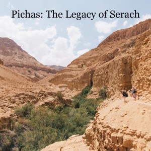 Pichas: The Legacy of Serach