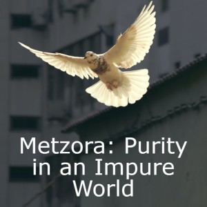 Metzora: Purity in an Impure World