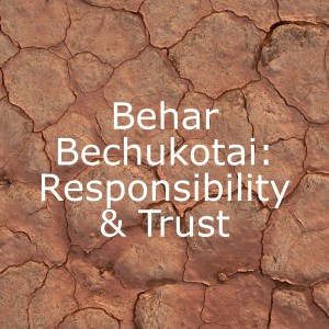 Behar-Bechukotai: Responsibility and Trust