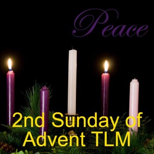 2nd Sunday of Advent TLM