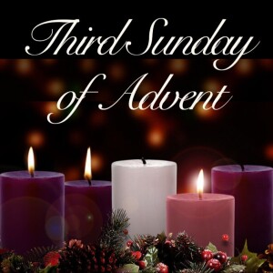 3rd Sunday of Advent TLM