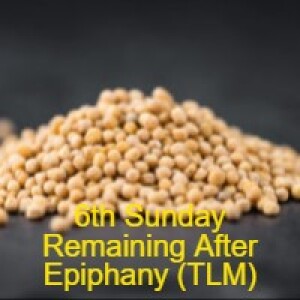 6th SundayRemaining after Epiphany (TLM)