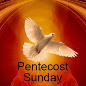 Pentecost Sunday (TLM)