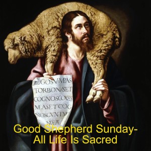 Good Shepherd Sunday- All Life Is Sacred