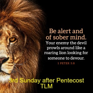 3rd Sunday after Pentecost TLM