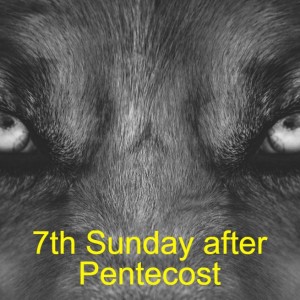 7th Sunday after Pentecost