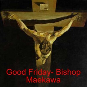 Good Friday Homily- Bishop Maekawa