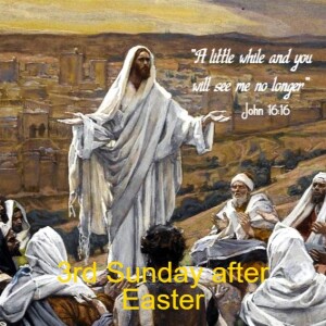 3rd Sunday after Easter-TLM