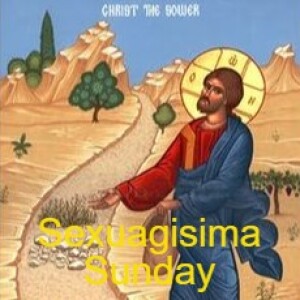 Sexuagesima Sunday Homily- TLM