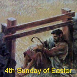 4th Sunday of Easter