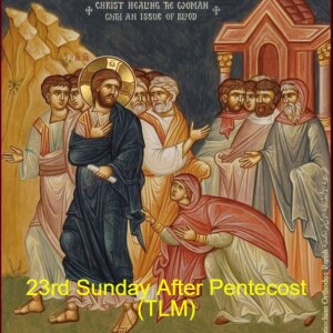 23rd Sunday After Pentecost (TLM)