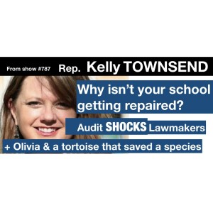 Rep. Townsend on School Audit Shock