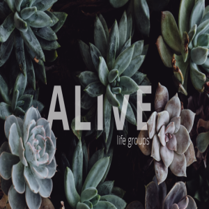 Alive-Part 6