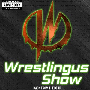 Wrestlingus Show: AEW 10/28