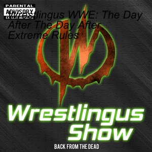 Wrestlingus WWE: The Day After The Day After Extreme Rules