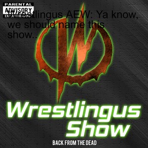 Wrestlingus AEW: Ya know, we should name this show..
