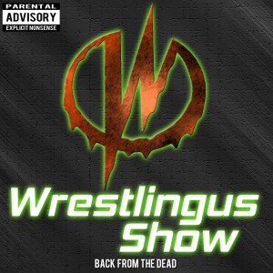 Wrestlingus WWE: Top 5 Promo/Seg Ever?