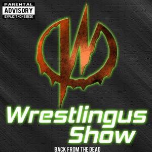 Wrestlingus Show: Survivor Series Review