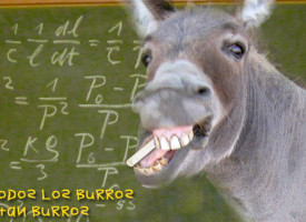 No todos los burros son tan burros - 1. Una Quijada de Burro