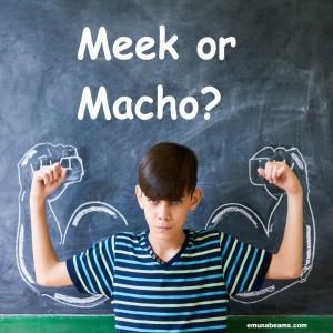 Meek or Macho?