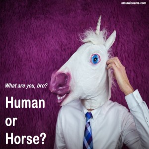 Human or Horse?