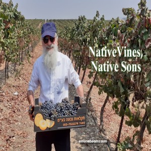 Native Vines, Native Sons