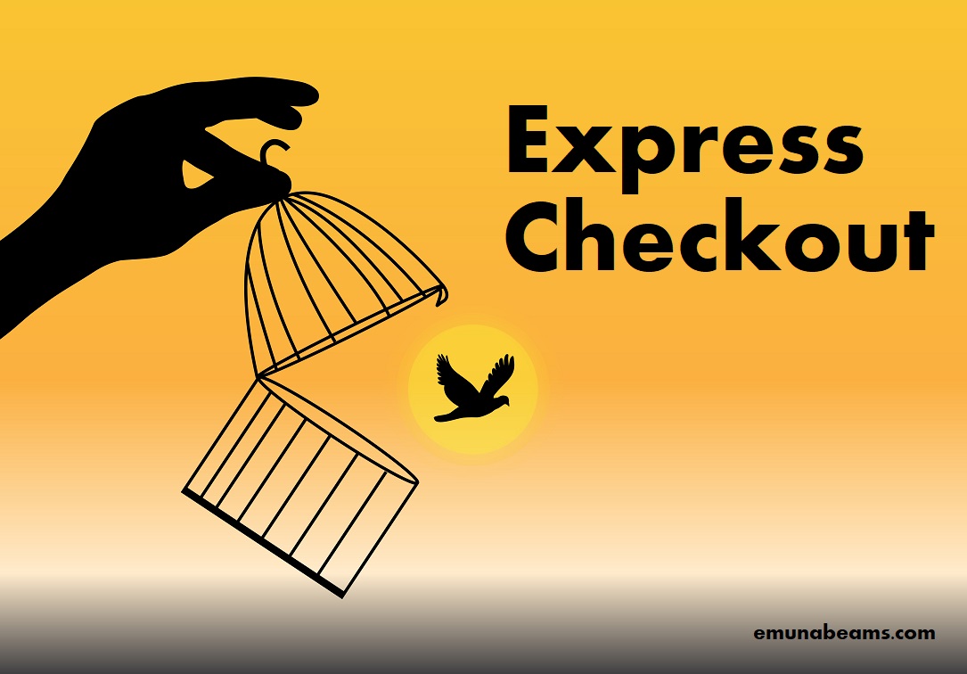express-checkout