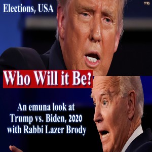 Trump vs. Biden: Who Will it Be?