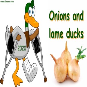 Onions and Lame Ducks