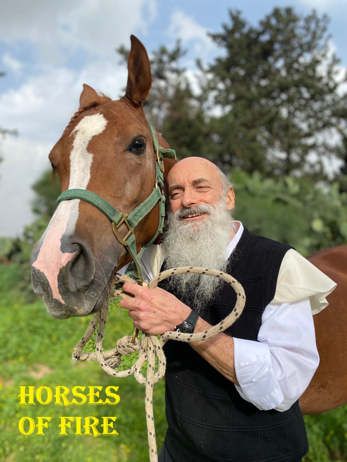 Horses of Fire