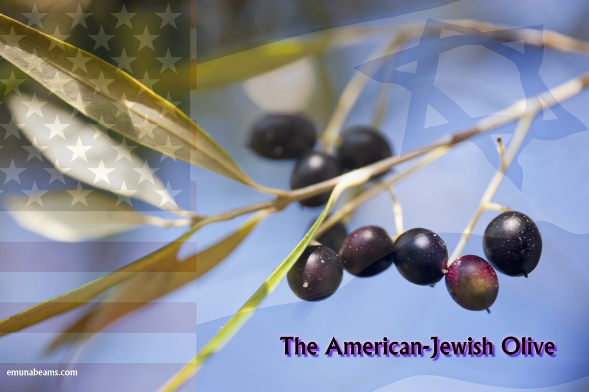 The American-Jewish Olive