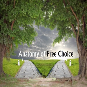 The Anatomy of Free Choice