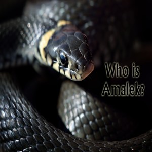 Who is Amalek?