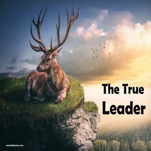 The True Leader