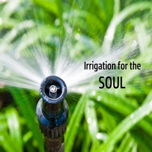 Irrigation for the Soul