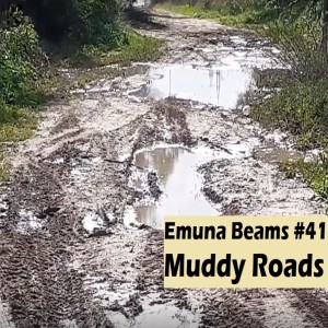Muddy Road