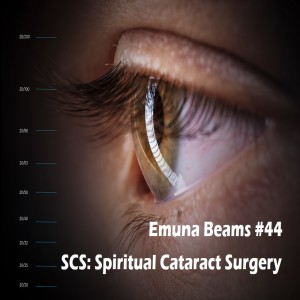 SCS: Spiritual Cataract Surgery